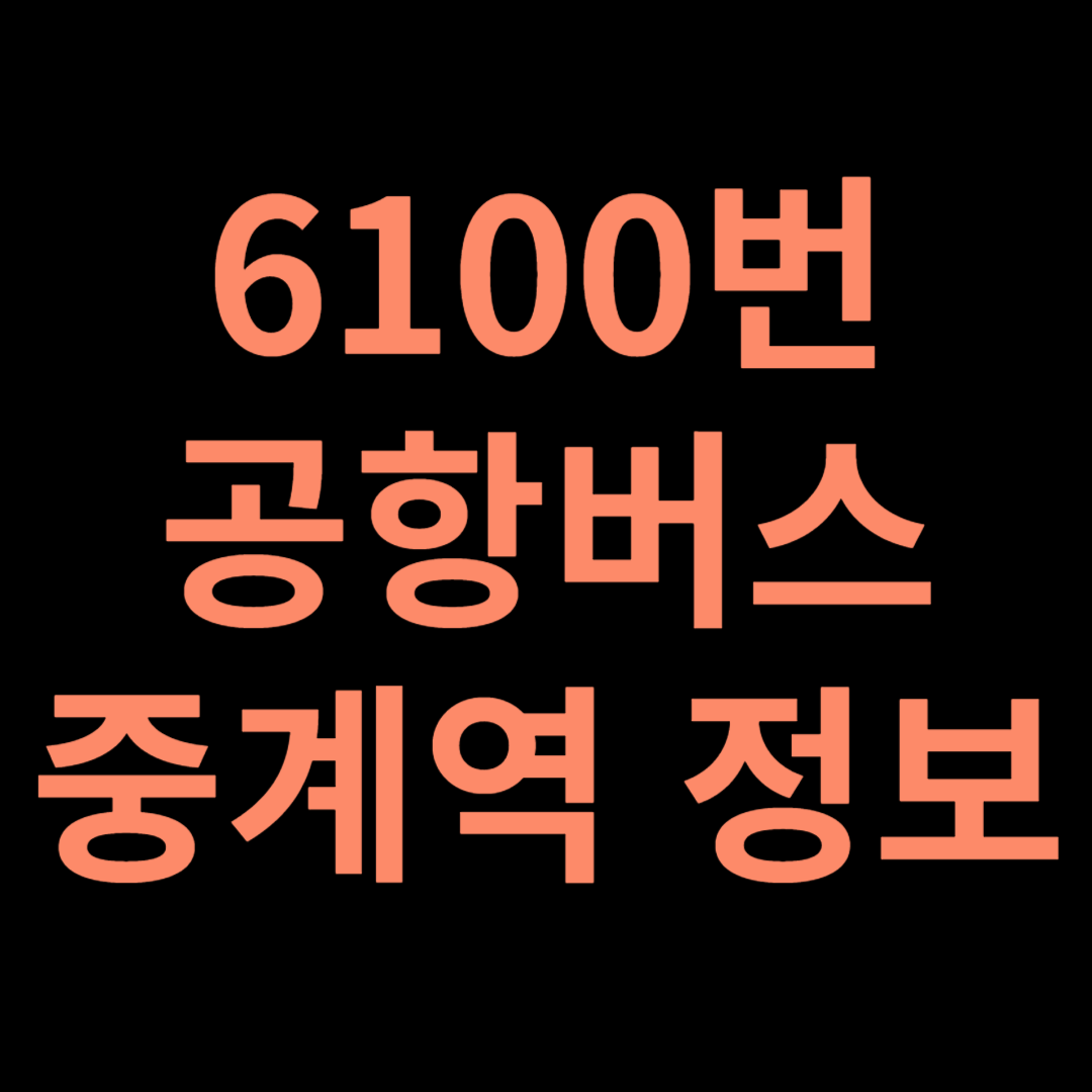 6100번 공항버스 정보