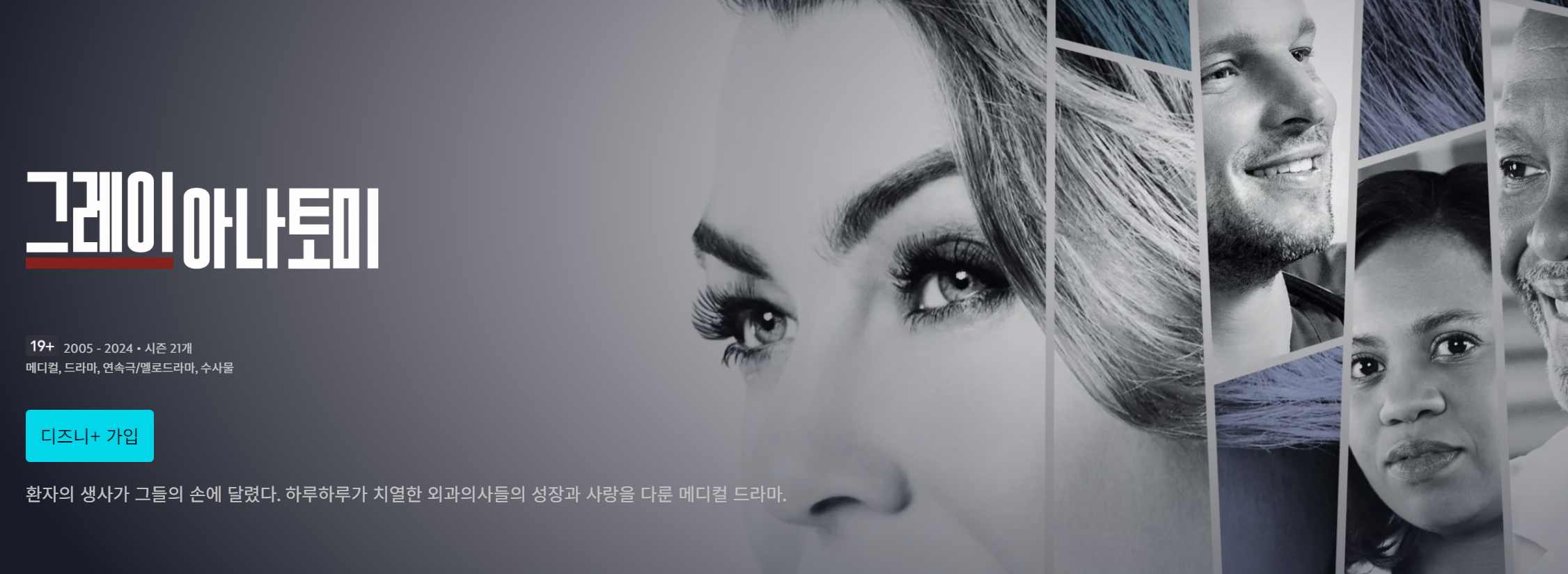 디즈니 플러스 드라마 추천 TOP 5 미드 정주행