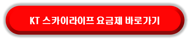 KT 스카이라이프 알뜰폰 핫스팟 무제한 요금제 비교 바로가기