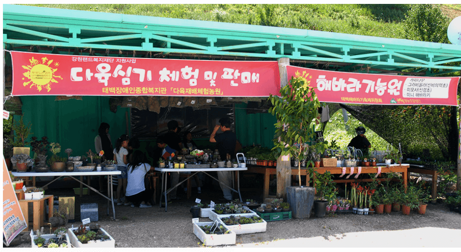 ํ๋ฐฑ-ํด๋ฐ๋ผ๊ธฐ-์ถ์ -์ ๋ณด