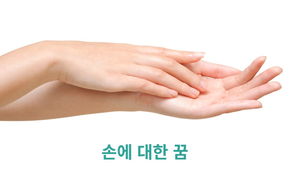 꿈에서 손이 보였다면?