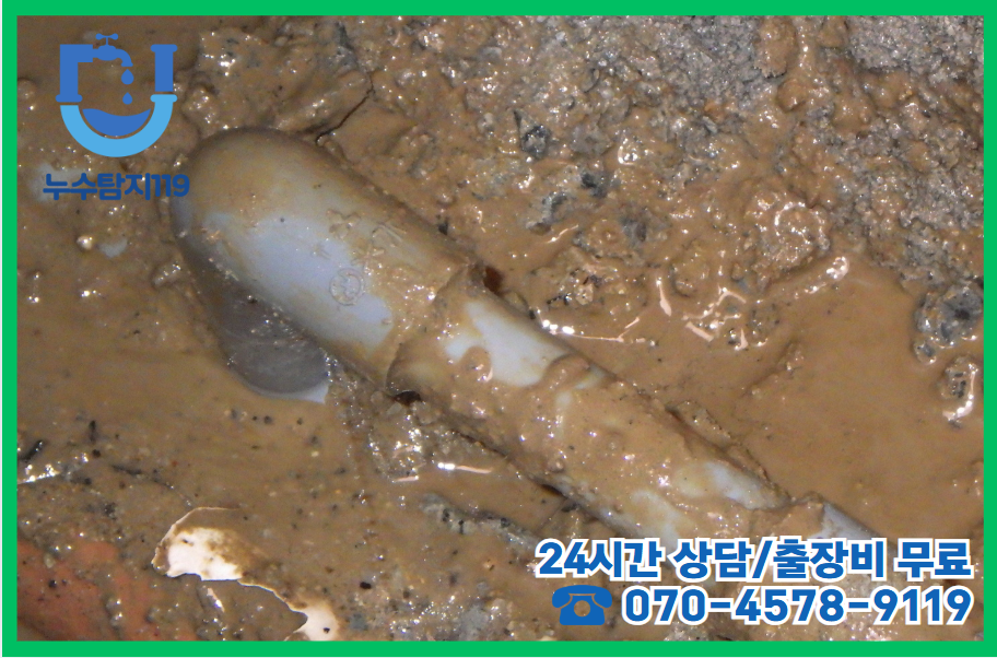 종 소담동 지역 아파트3