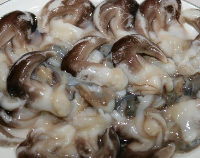 홍성 남당항 새조개 축제