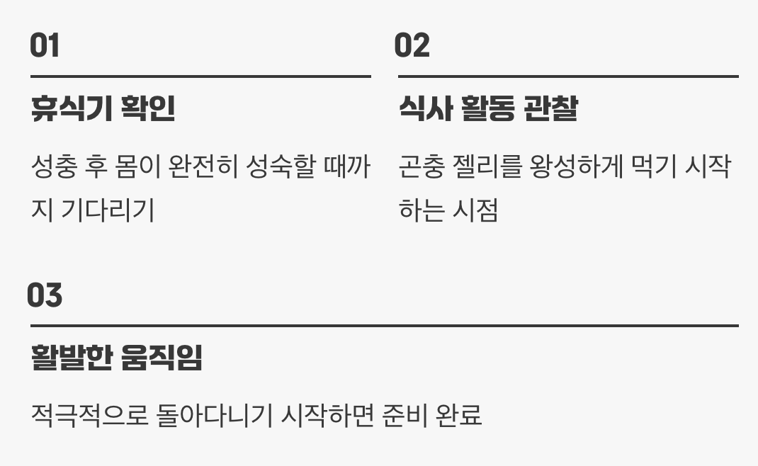 신랑 신부, 준비됐나요? (합사 타이밍)