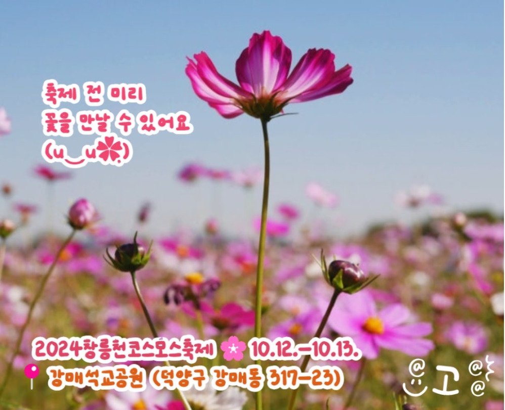 가을여행/2024/고양시에서/즐기는/가을축제/일정과/프로그램/총정리