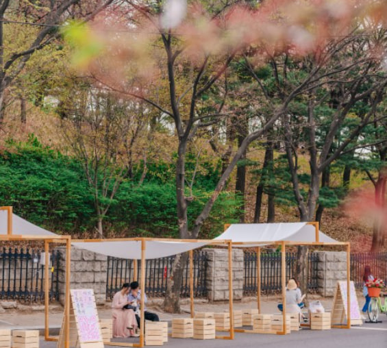 전국 벚꽃 봄꽃 축제 추천 Best 5