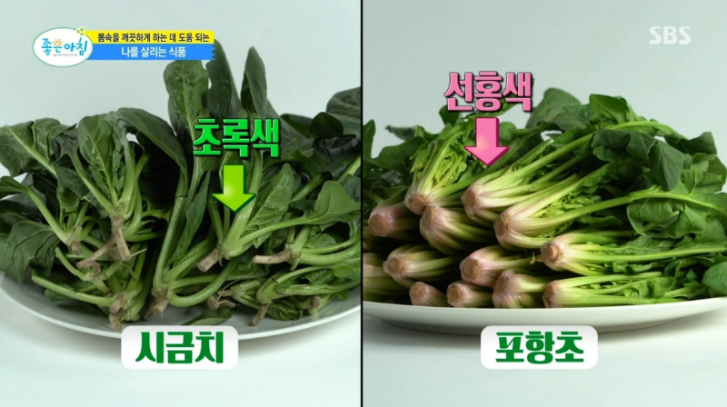 활성 산소 독소 배출 해독 팥 포항초