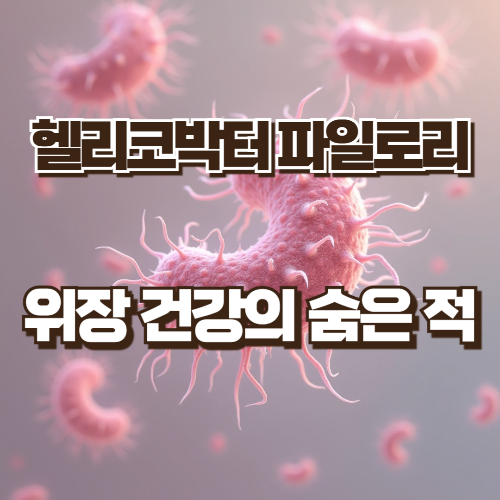 헬리코박터 파일로리
