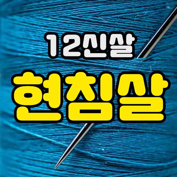 12신살 현침살 - 썸네일