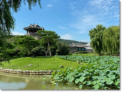 화성행궁 야간개장 수원 가볼만한곳 무료입장