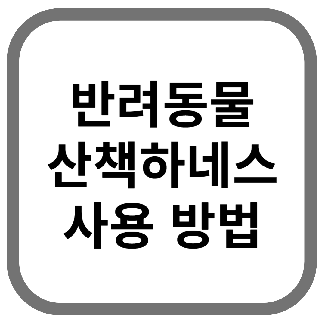 반려동물 산책하네스 사용 방법이라고 적힌 썸네일 이미지