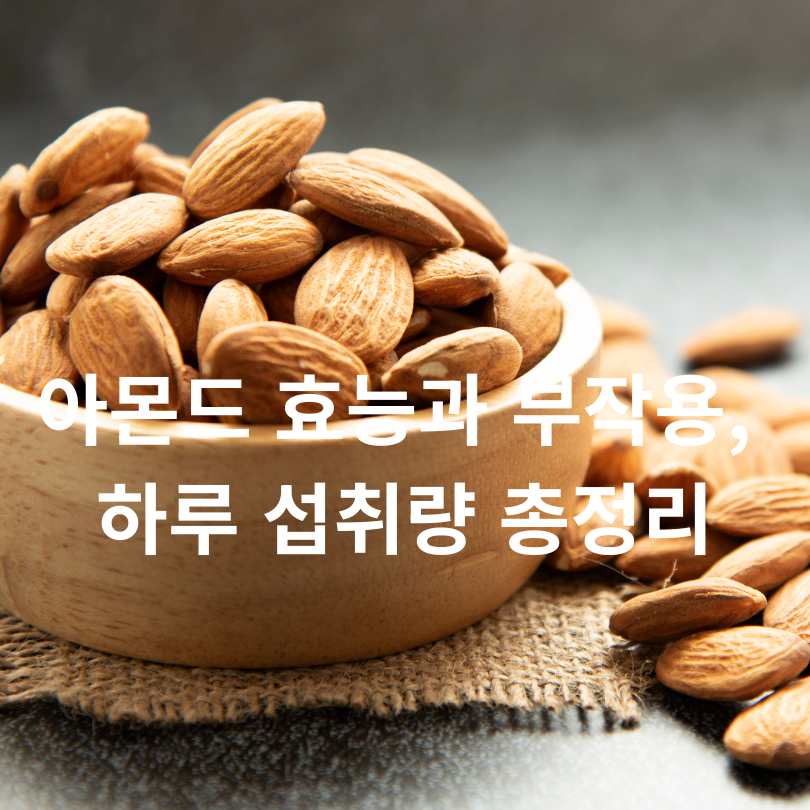 아몬드 효능과 부작용, 하루 섭취량 총정리