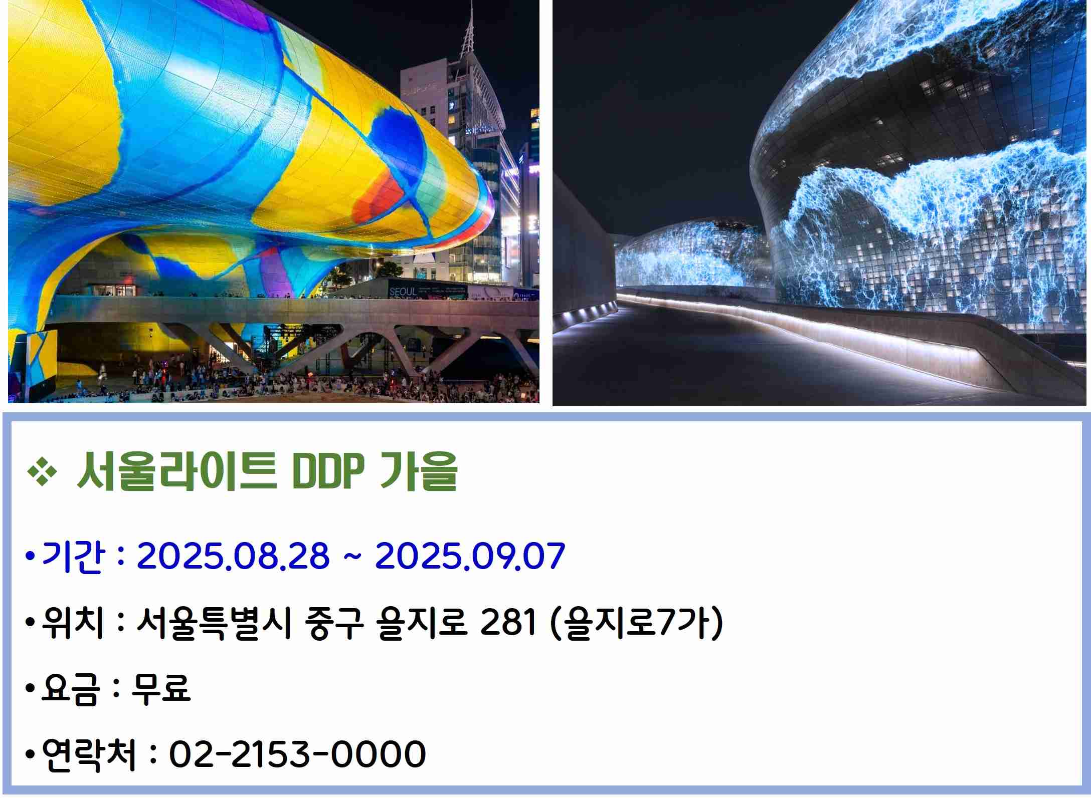 서울라이트 DDP 가을