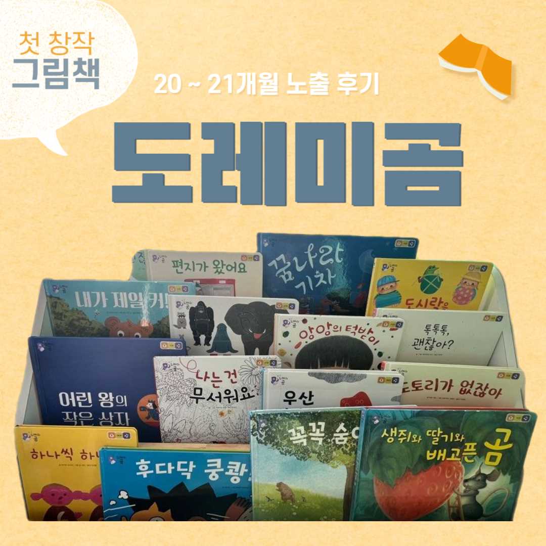 20개월 도레미곰 전집