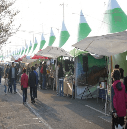 2024 진해군항제 벚꽃 축제
