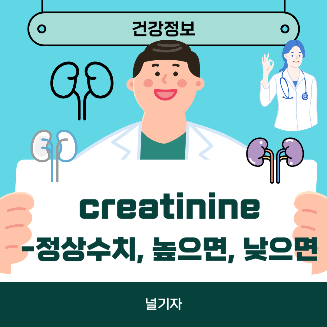 creatinine 정상수치, 수치 높으면 낮으면