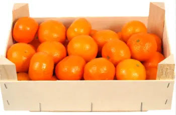 귤 가격 및 효능, 영양성분과 주의점