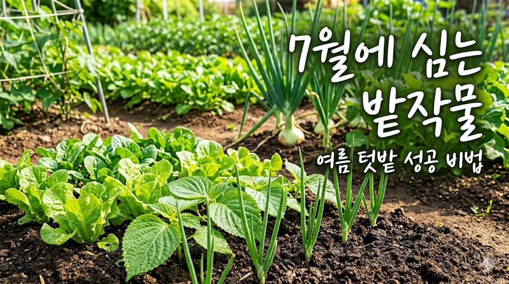 7월에 심는 밭작물