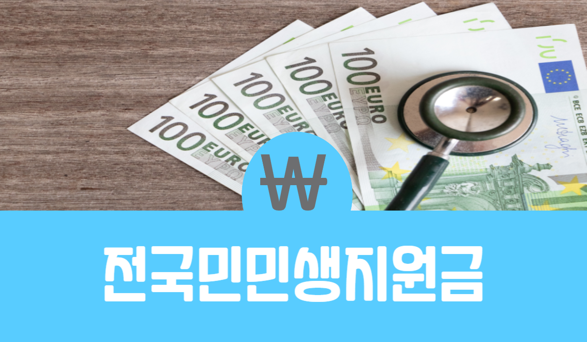 전국민 민생지원금