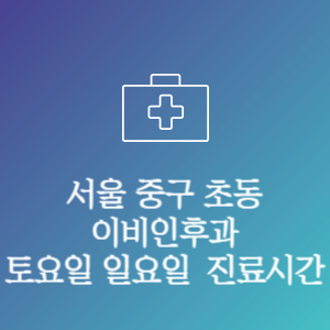 서울 중구 초동 이비인후과 주말 토요일 일요일 문여는 병원 진료시간