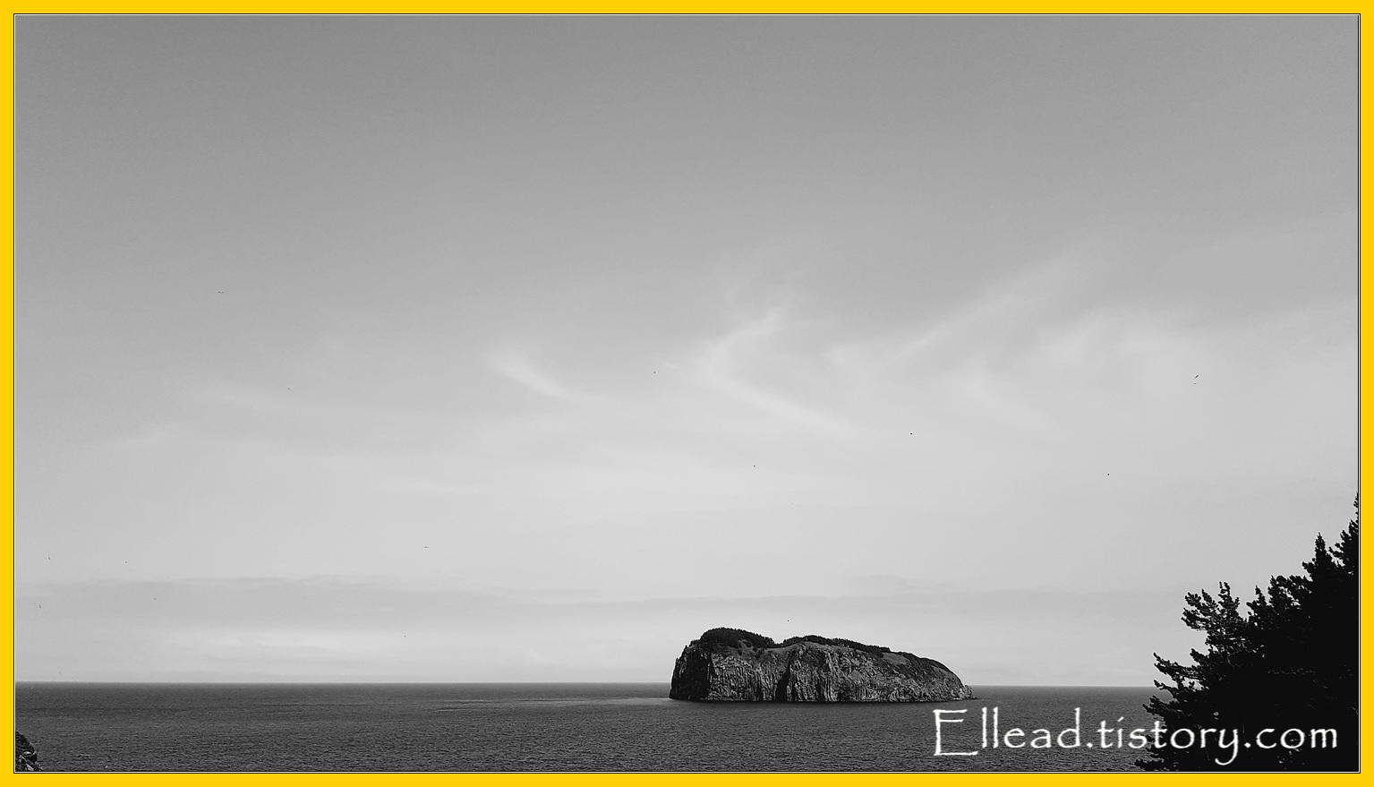 (흑백 확대) 죽도