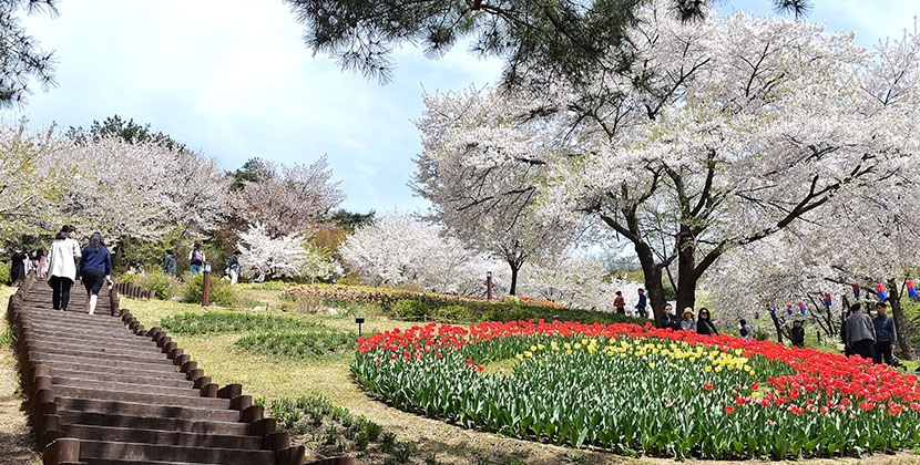 서울속유럽정원 ?연희숲속쉼터 관련사진