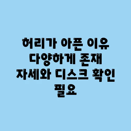 허리가 아픈 이유 다양하게 존재 자세와 디스크 확인 필요