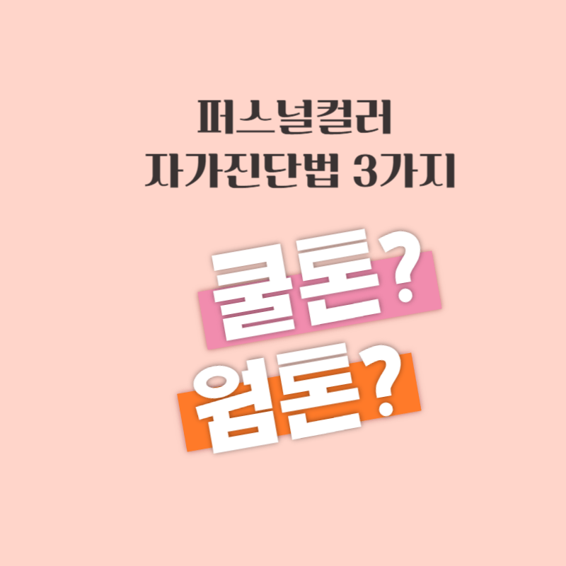 퍼스널컬러자가진단