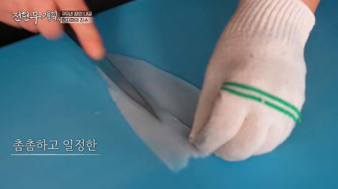 투명한-한치회