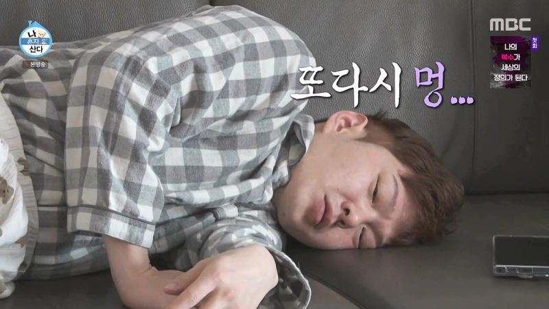 나혼산 이창섭 집, 차 종류