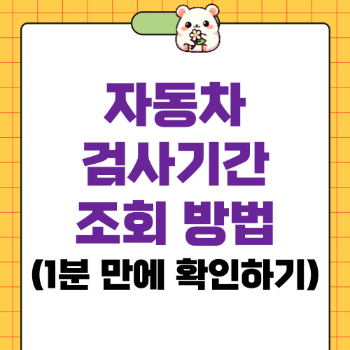 자동차검사기간 조회