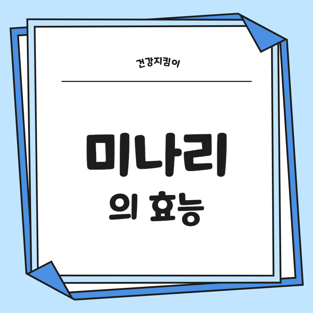 미나리 효능 부작용 고르는법 칼로리