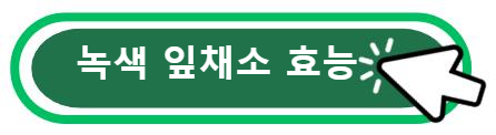 녹색 잎채소 효능 알아보기