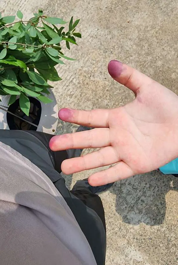 성암산우리들유아숲체험원