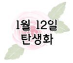 이 이미지를 클릭하시면 1월 12일 탄생화에 관한 포스팅으로 이동됩니다.