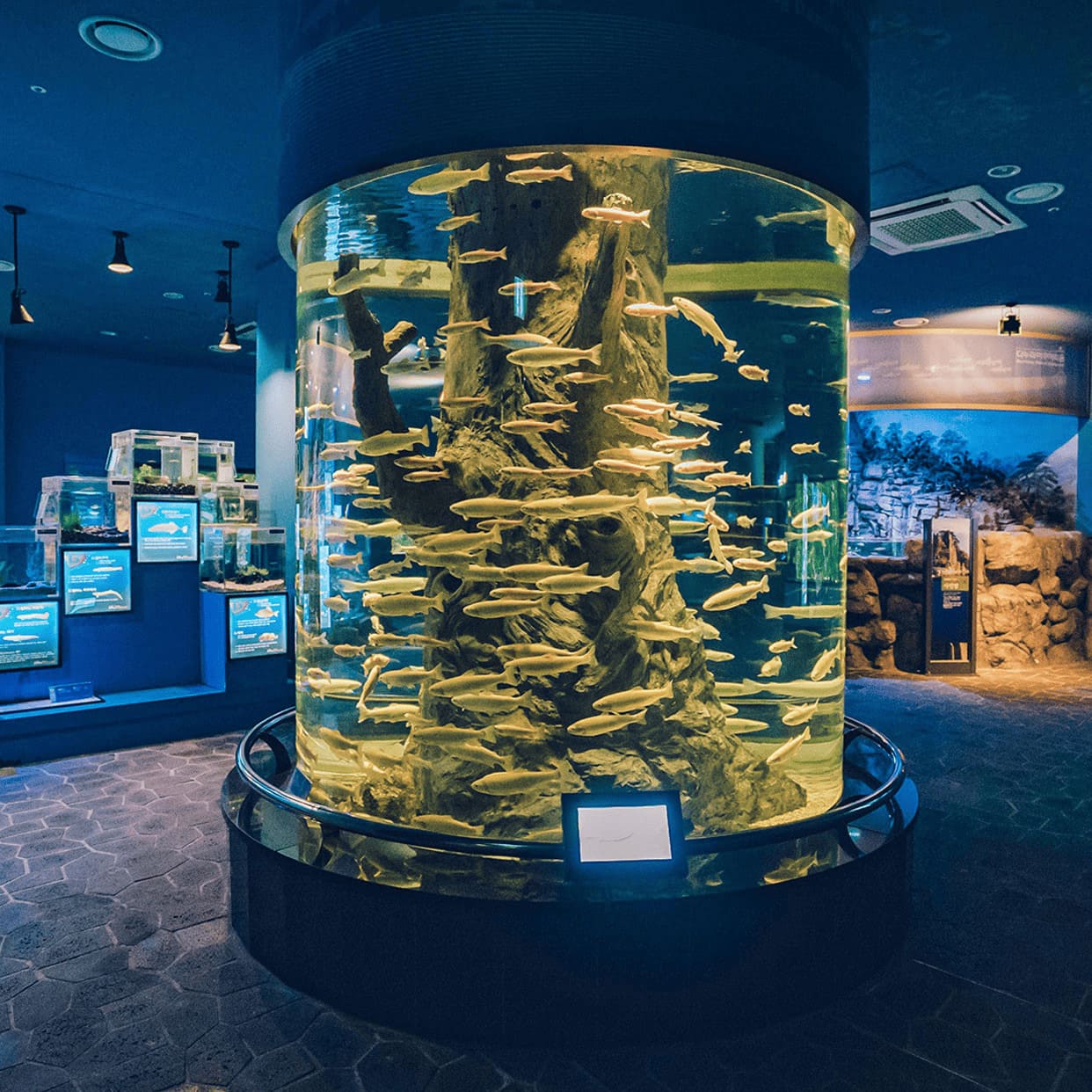 단양 다누리아쿠아리움