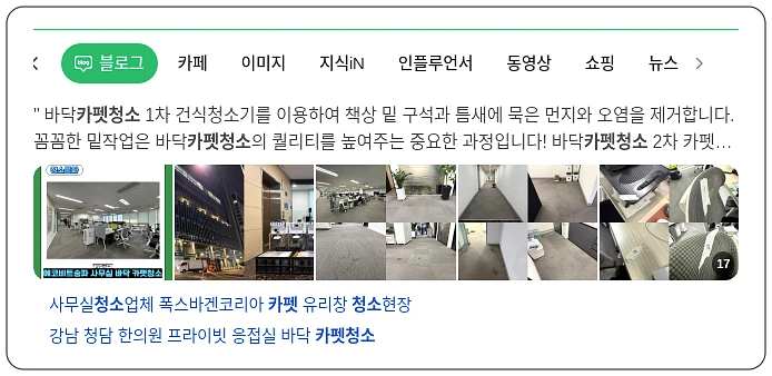 카펫 청소_1_subsection