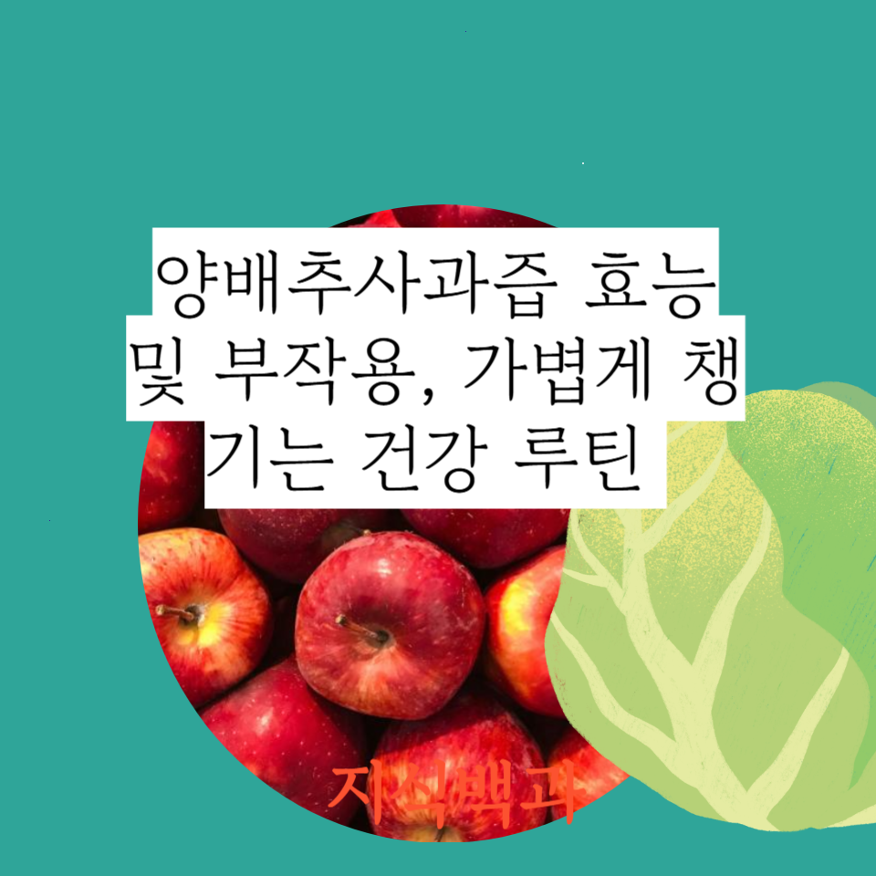 양배추사과즙 효능 및 부작용, 가볍게 챙기는 건강 루틴 🍎🥬