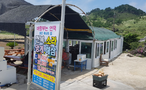 바람부는언덕