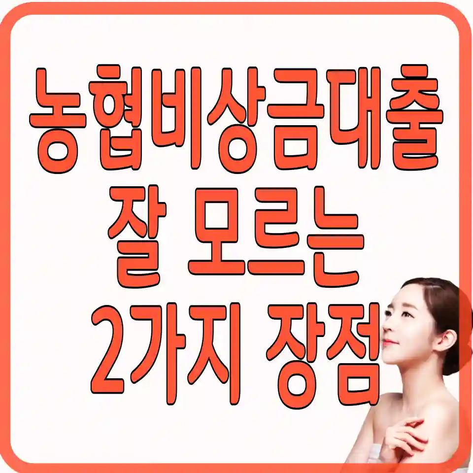 nh콕-비상금대출-신청하기