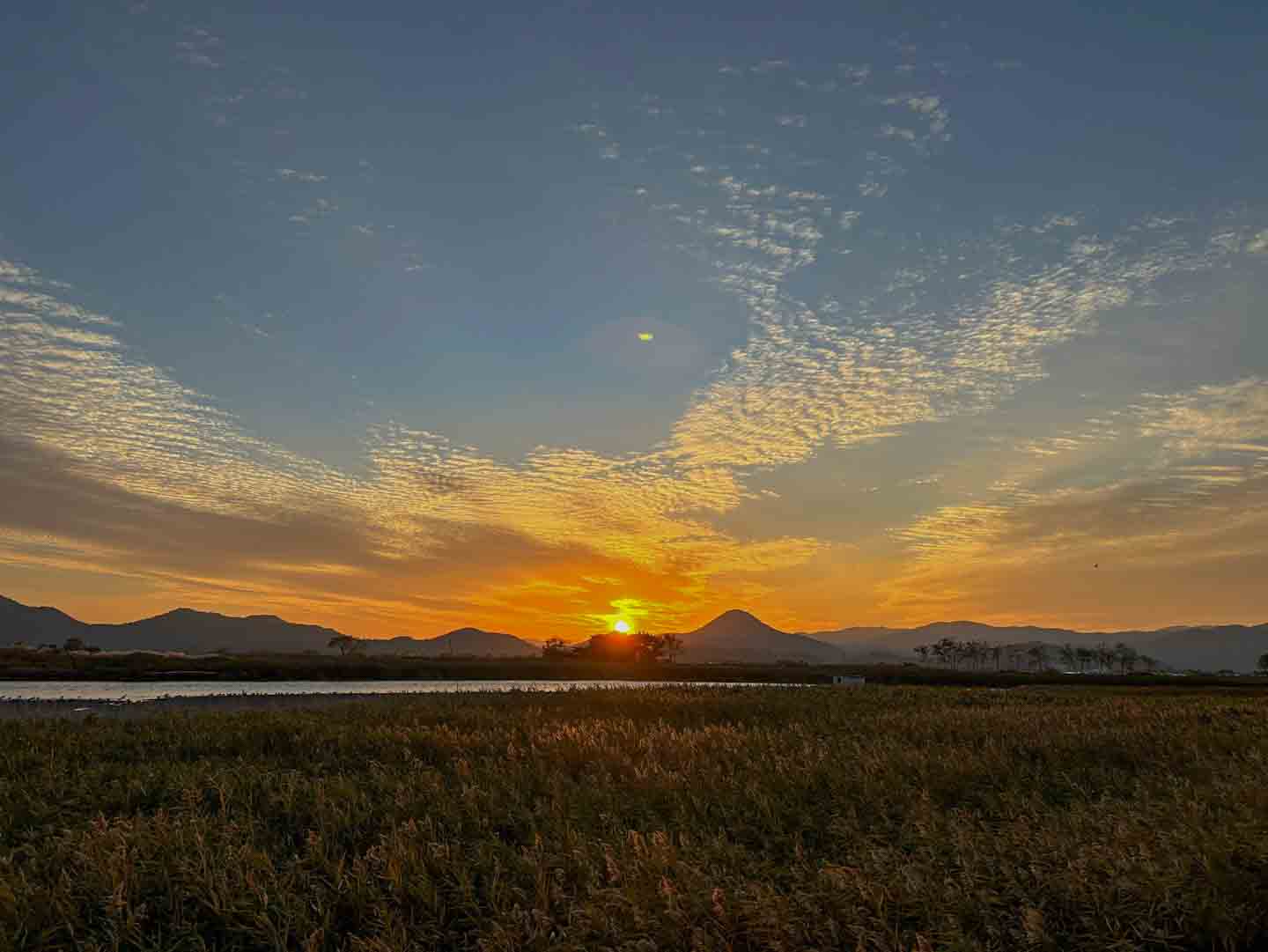순천 가볼만한곳