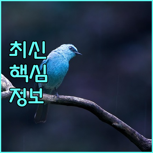 리프팅 시술 후 관리, 꿀피부 유지하