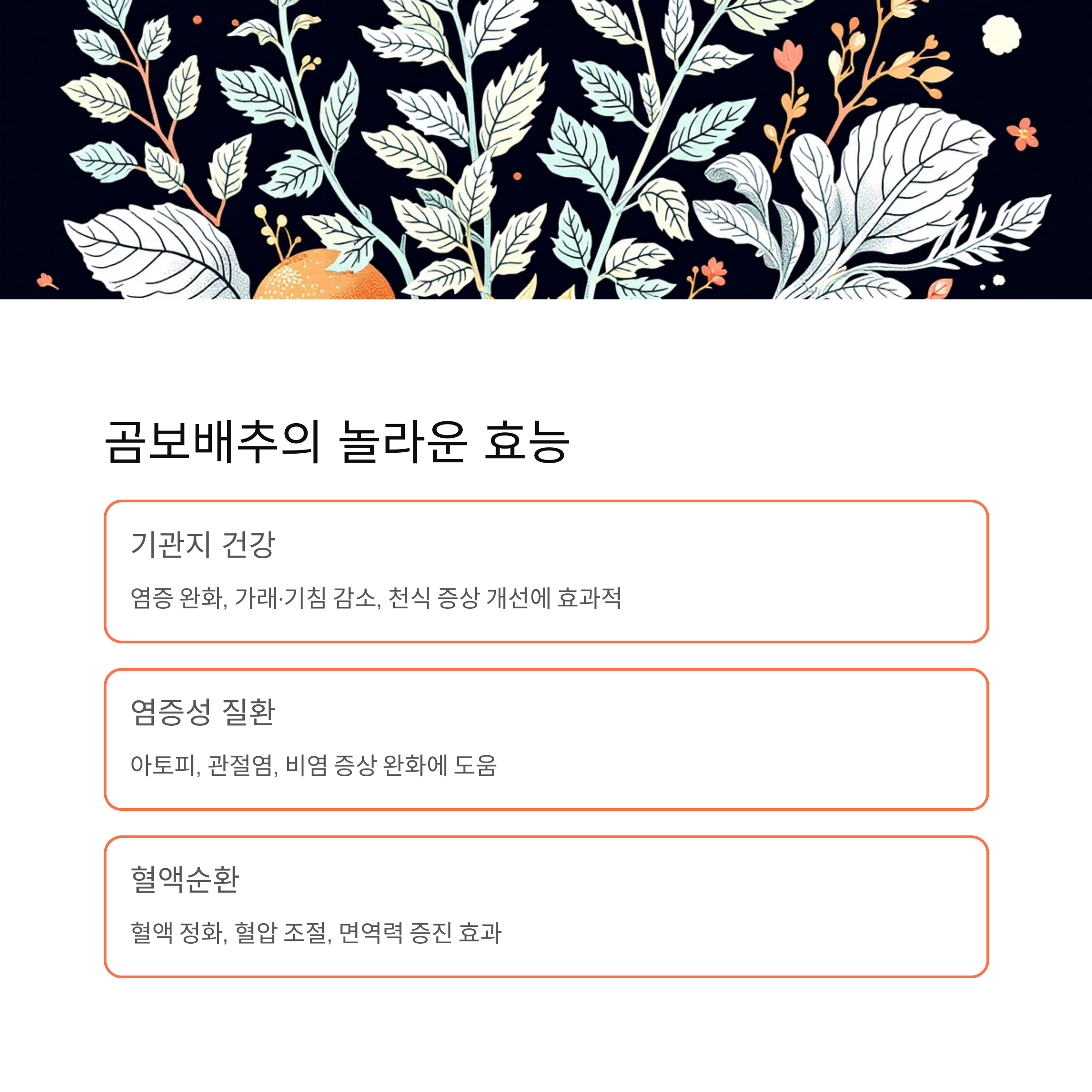 곰보배추의 놀라운 효능