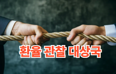 환율 관찰 대상국 이란