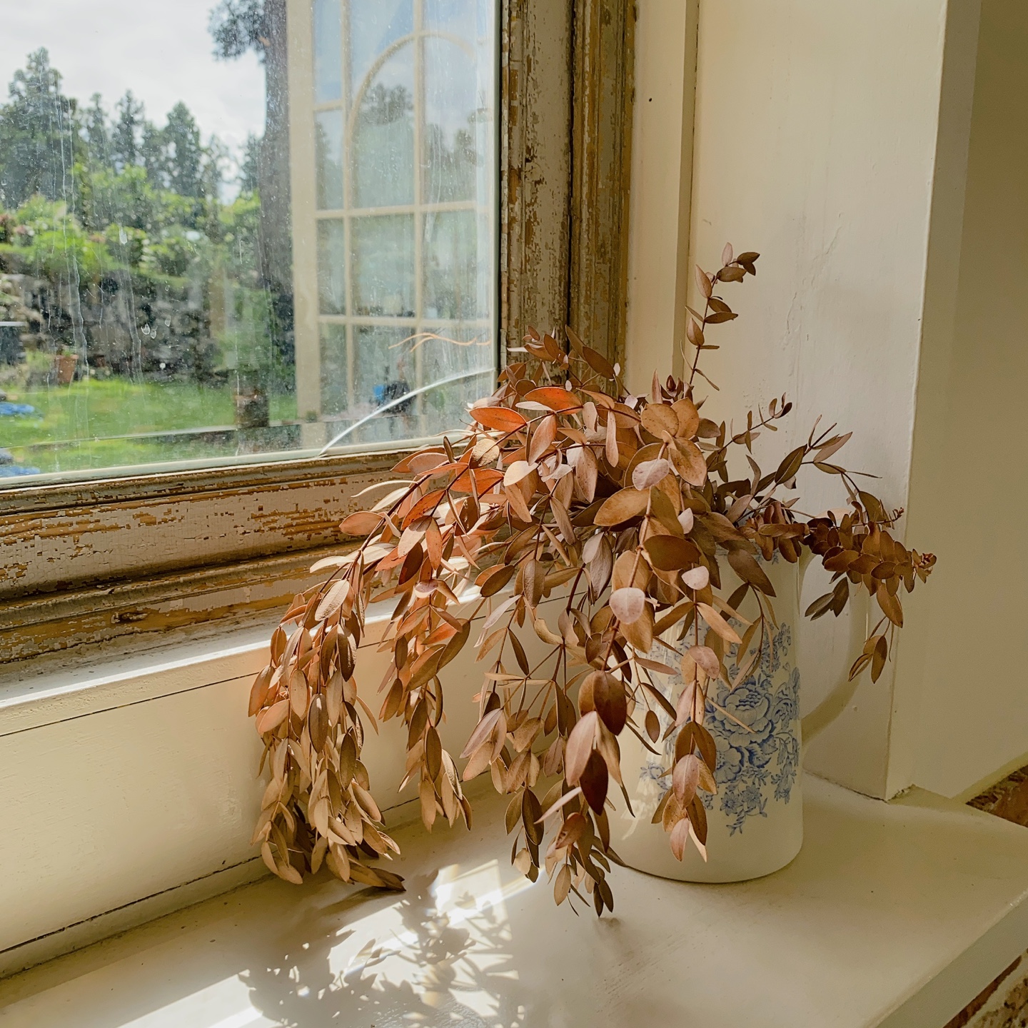 제주 조천 동백동산 자드부팡(jas de bouffan) 카페 리뷰 추천 주차 후기 솔직후기