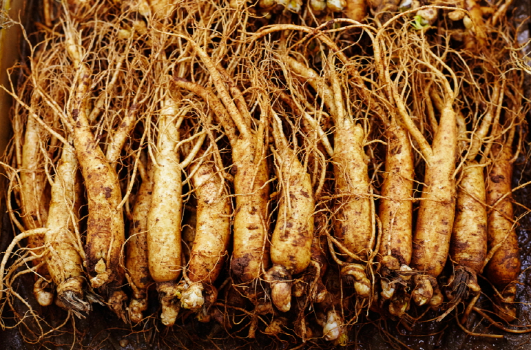 2024년 10월 가을 축제 일정