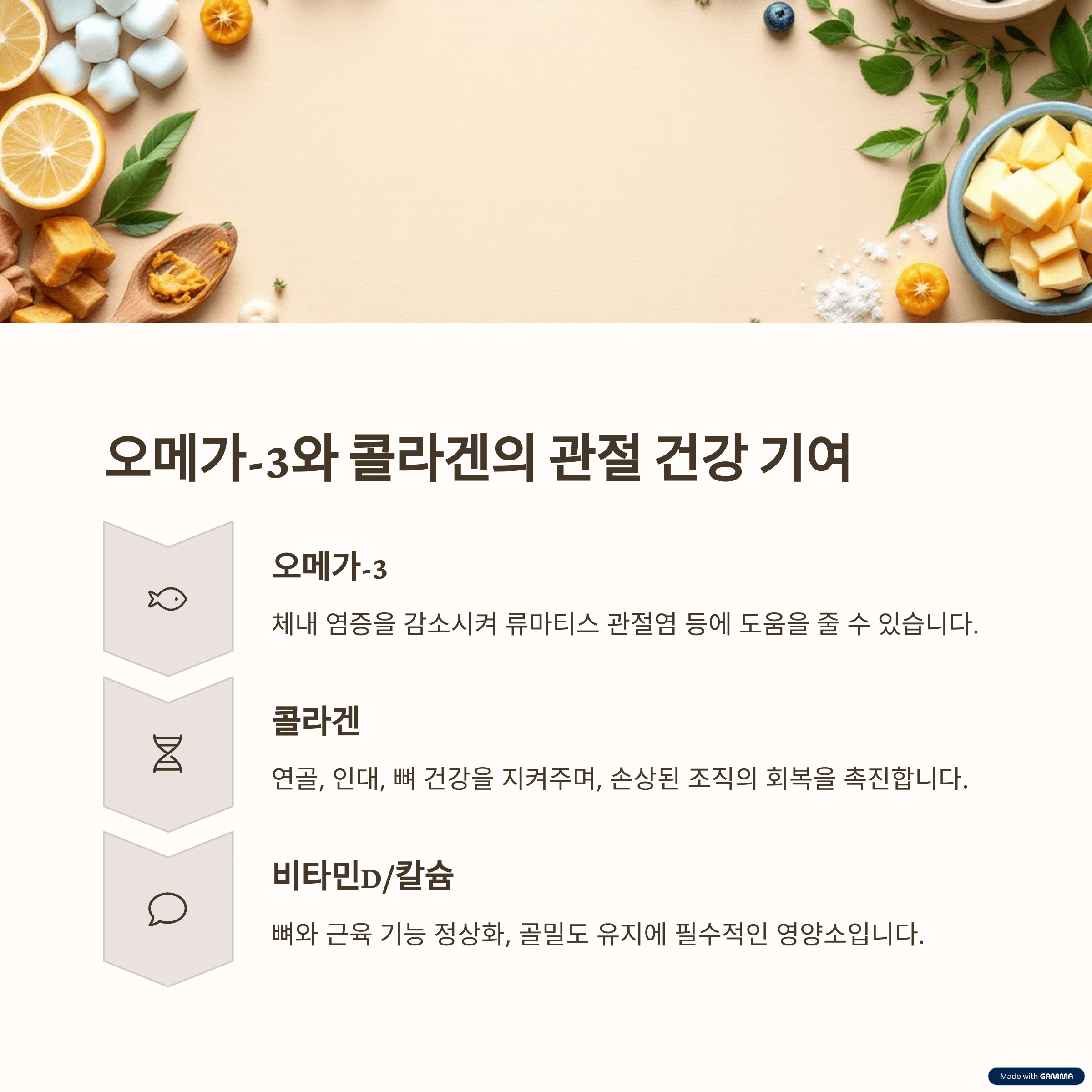 주요 성분별 효능 정리