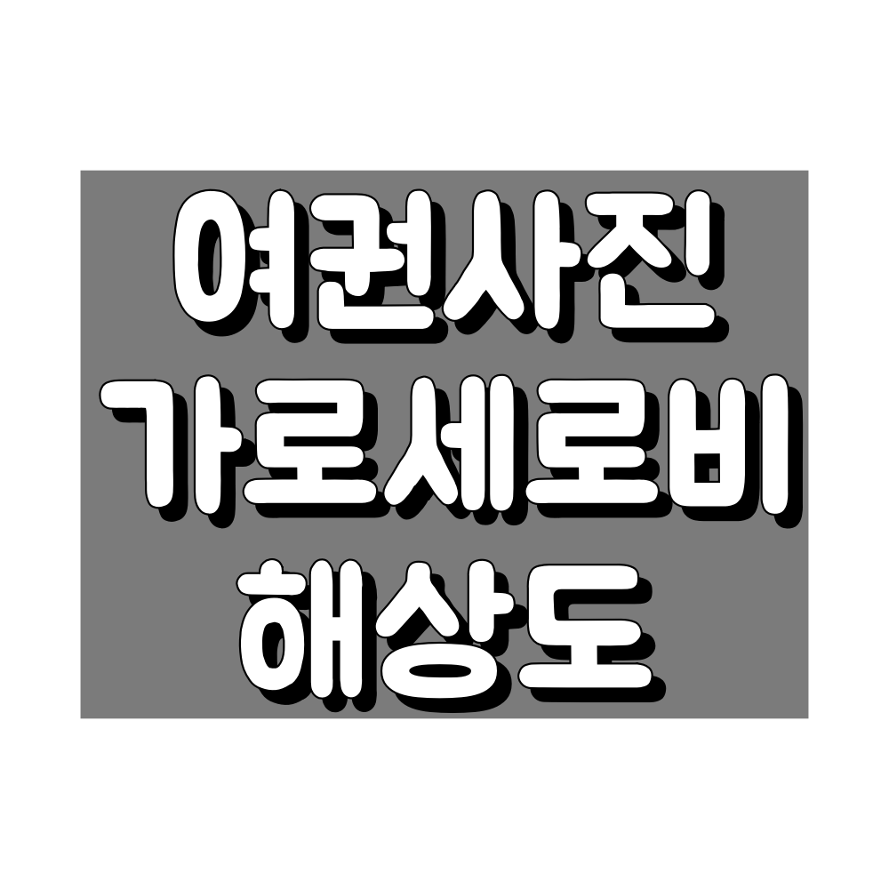 여권사진 해상도, 가로세로비, 픽셀 편집 방법 대표 이미지