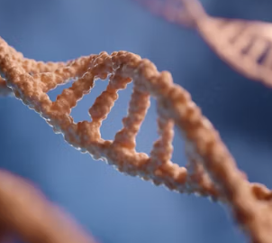 섬유근육통 초기증상 원인 치료법