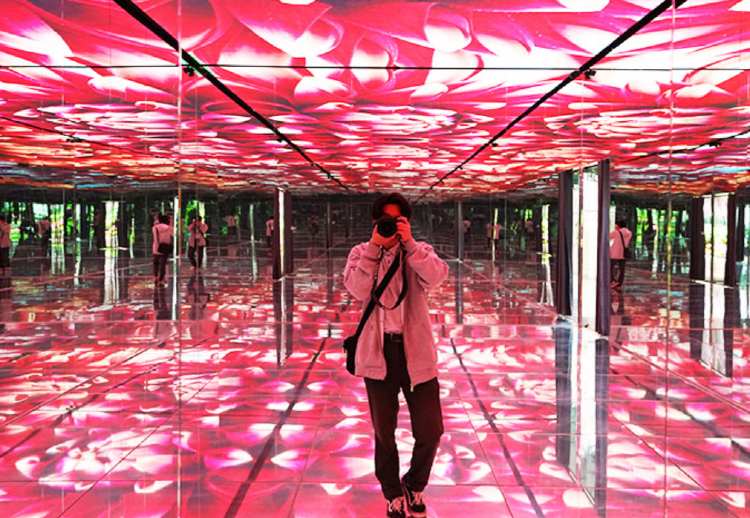 가평 베고니아 새정원